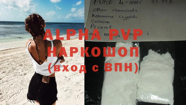 СК Магадан